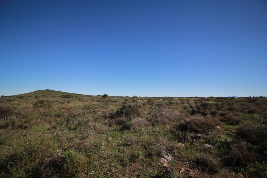0 Bedroom Property for Sale in Mossel Bay Rural Western Cape